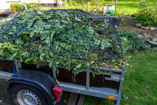 Best Shed Removal  in , WI